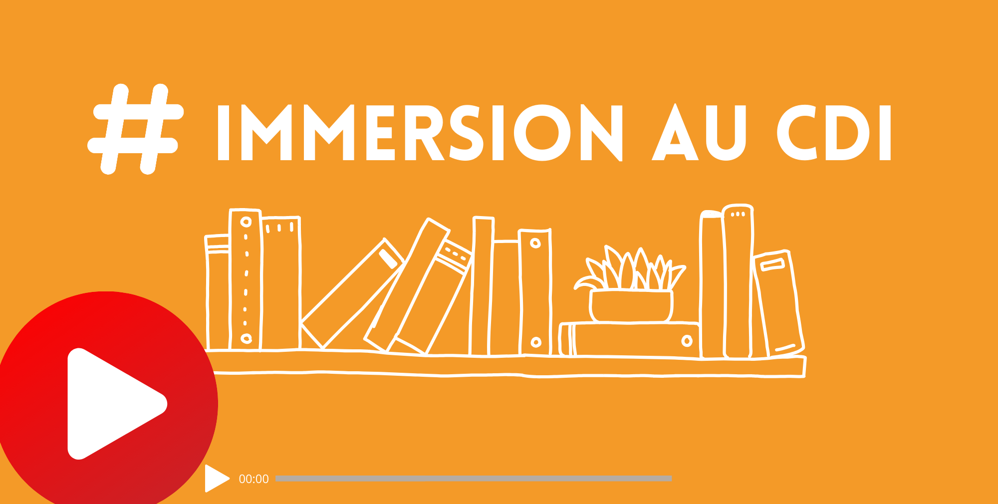 Impossible de lire la video