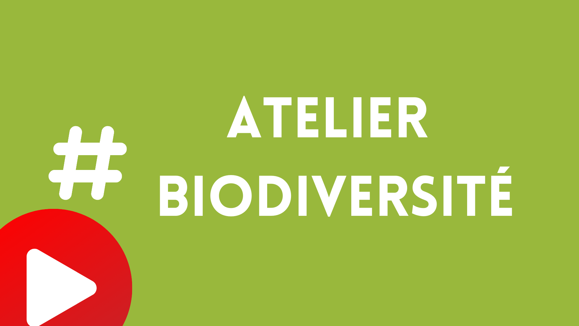 Impossible de lire la video