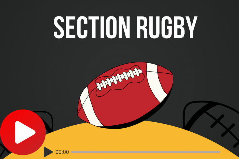 Impossible de lire la video