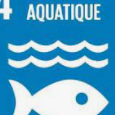Objectif de développement durable n°14 Vie (…)